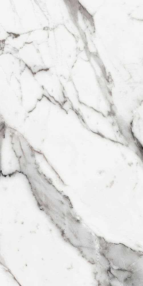 LES ORIGINES DE REX ARGENT GLOSSY 60X120