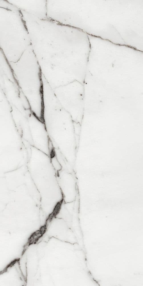 LES ORIGINES DE REX ARGENT GLOSSY 60X120