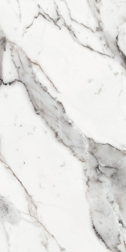 LES ORIGINES DE REX ARGENT GLOSSY 60X120