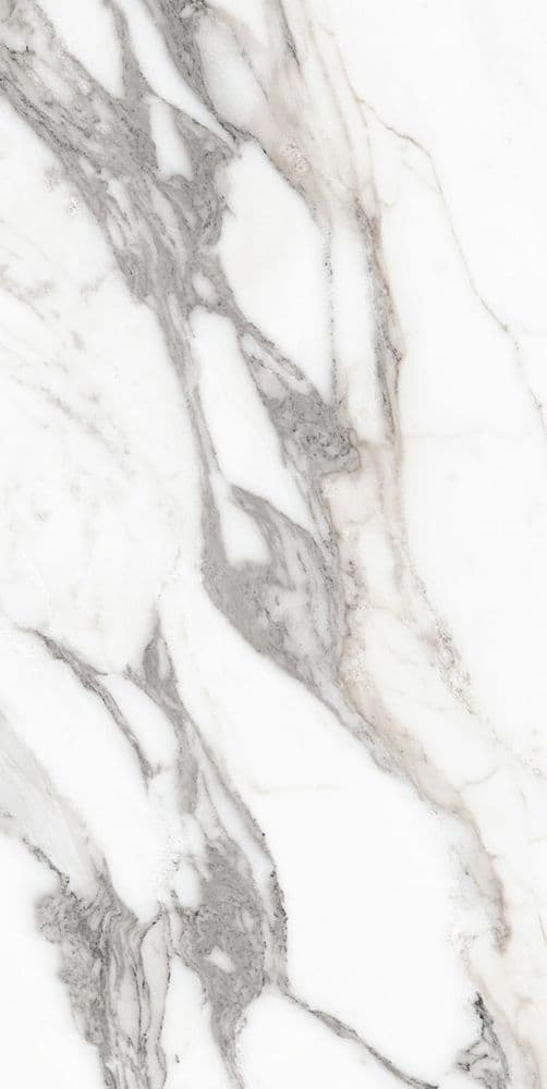 LES ORIGINES DE REX ARGENT GLOSSY 60X120