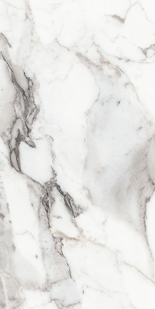 LES ORIGINES DE REX ARGENT GLOSSY 60X120
