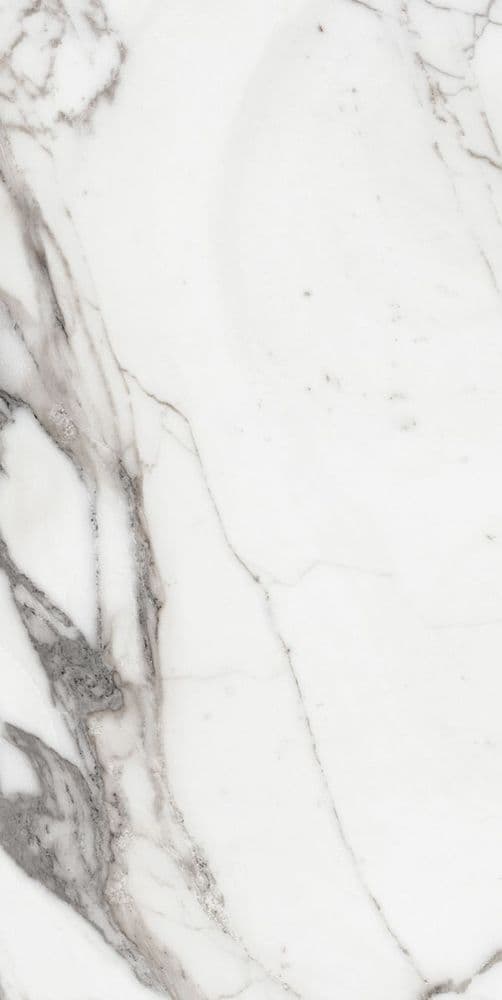 LES ORIGINES DE REX ARGENT GLOSSY 60X120