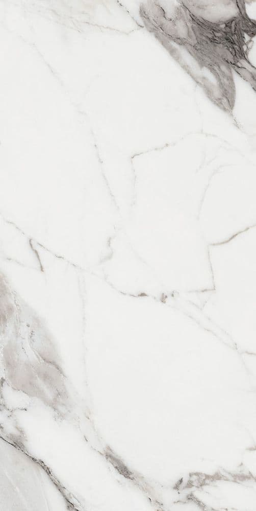 LES ORIGINES DE REX ARGENT GLOSSY 60X120