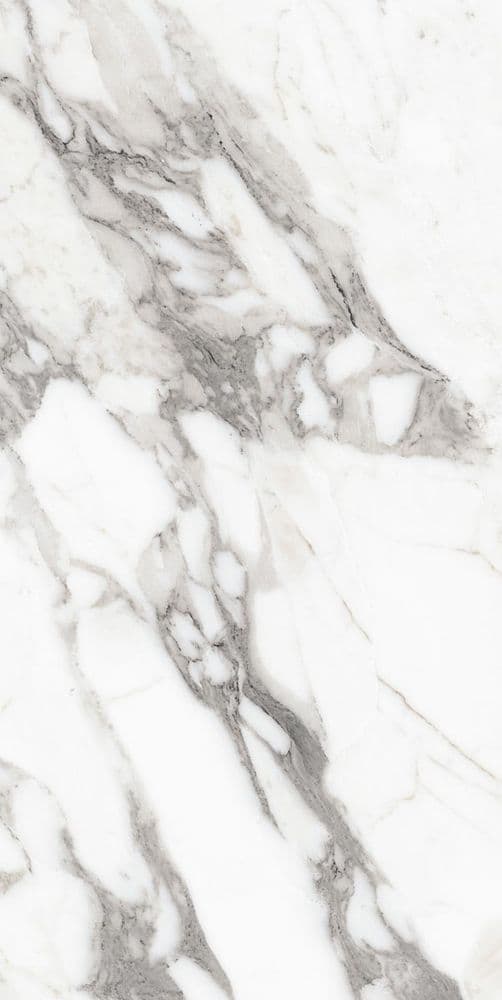 LES ORIGINES DE REX ARGENT GLOSSY 60X120
