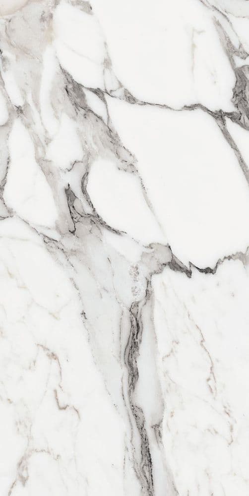 LES ORIGINES DE REX ARGENT GLOSSY 60X120