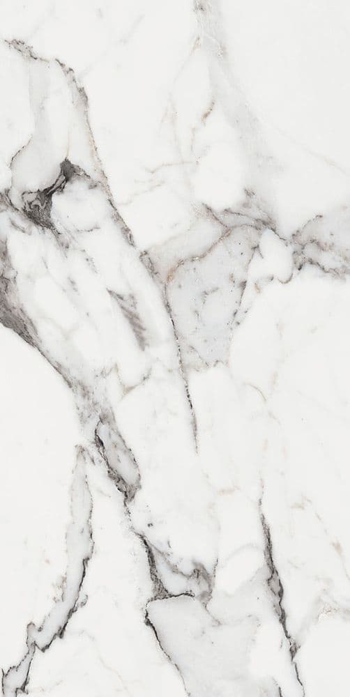 LES ORIGINES DE REX ARGENT GLOSSY 60X120