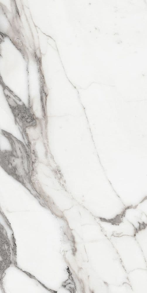 LES ORIGINES DE REX ARGENT GLOSSY 60X120