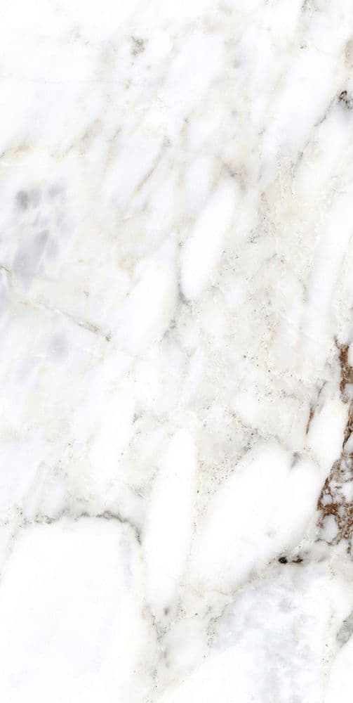 BIJOUX BRECHE CAPRAIA GLOSSY 60X120 RETT