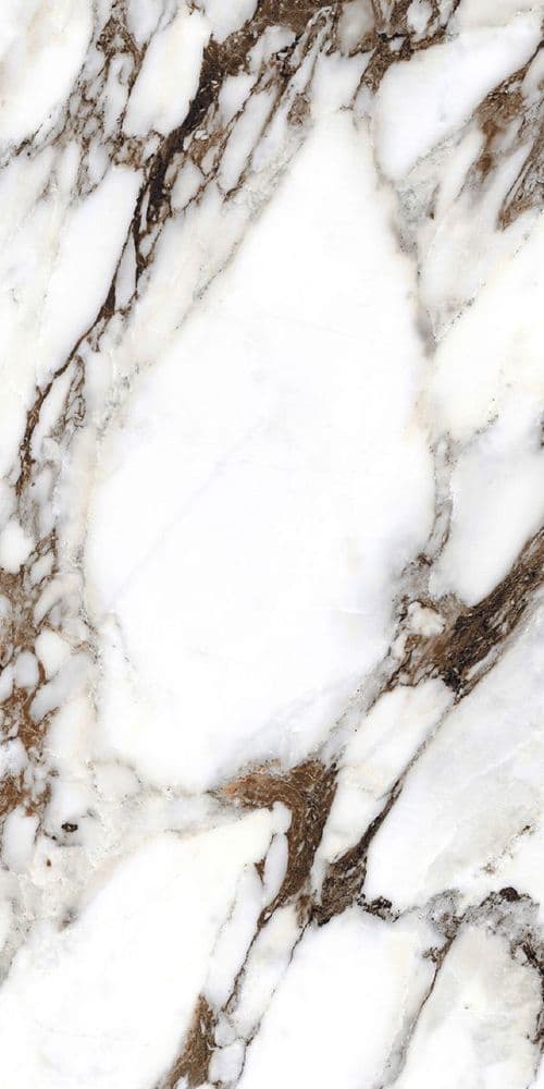 BIJOUX BRECHE CAPRAIA GLOSSY 60X120 RETT