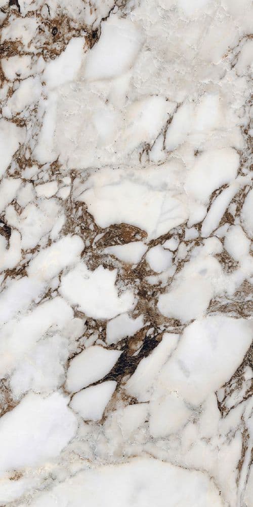 BIJOUX BRECHE CAPRAIA GLOSSY 60X120 RETT
