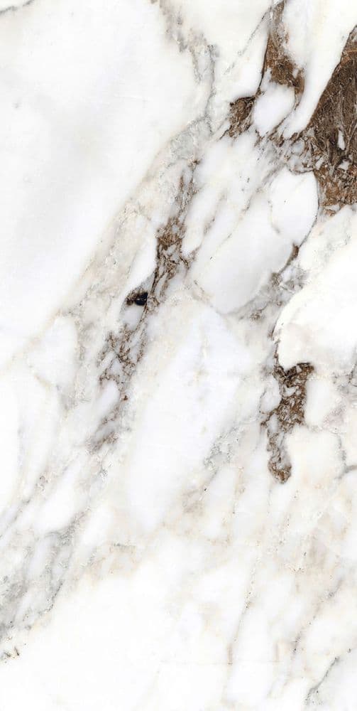 BIJOUX BRECHE CAPRAIA GLOSSY 60X120 RETT
