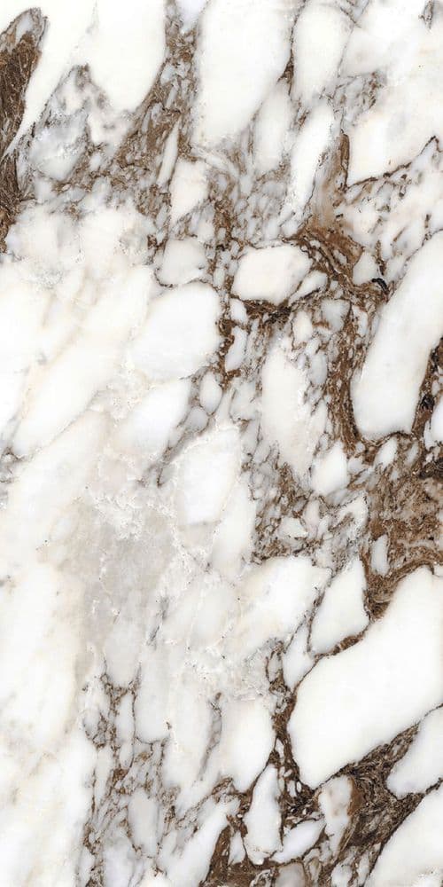 BIJOUX BRECHE CAPRAIA GLOSSY 60X120 RETT