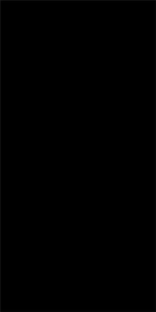 ABSOLUTE BLACK LAPP/RETT 120X240