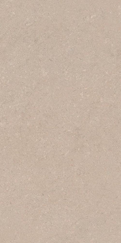 AUTHENTIC STONE CHABLIS LEATHER MATTE 60x120 RET