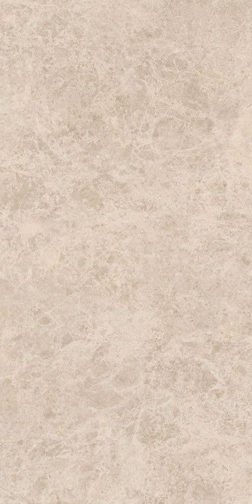 ERA DELIC. TAUPE NAT R60X120
