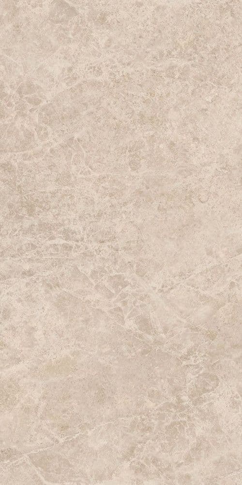 ERA DELIC. TAUPE NAT R60X120