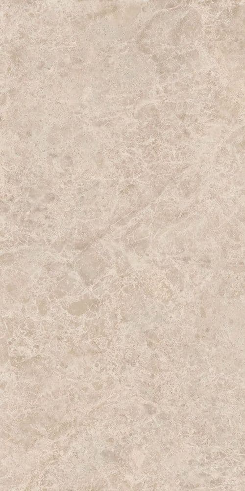 ERA DELIC. TAUPE NAT R60X120