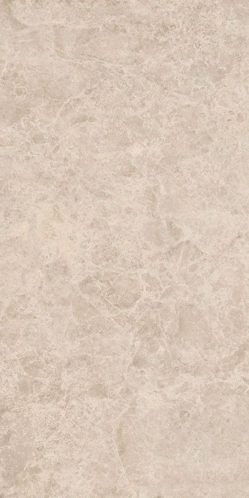 ERA DELIC. TAUPE NAT R60X120
