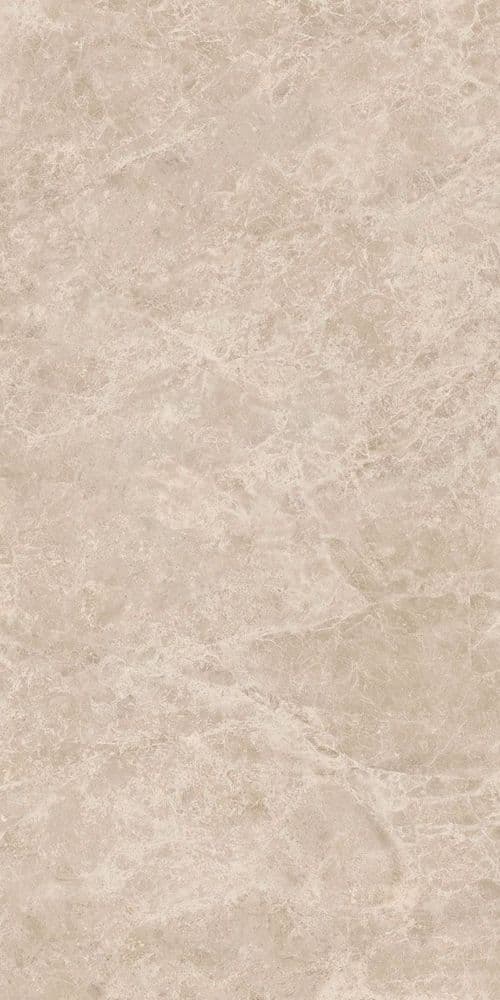 ERA DELIC. TAUPE NAT R60X120