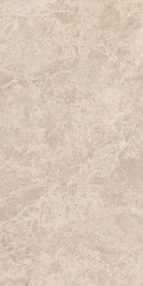 ERA DELIC. TAUPE NAT R60X120