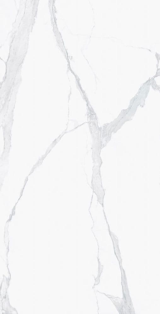 I CLASSICI STATUARIO SOFT.60x120 RET