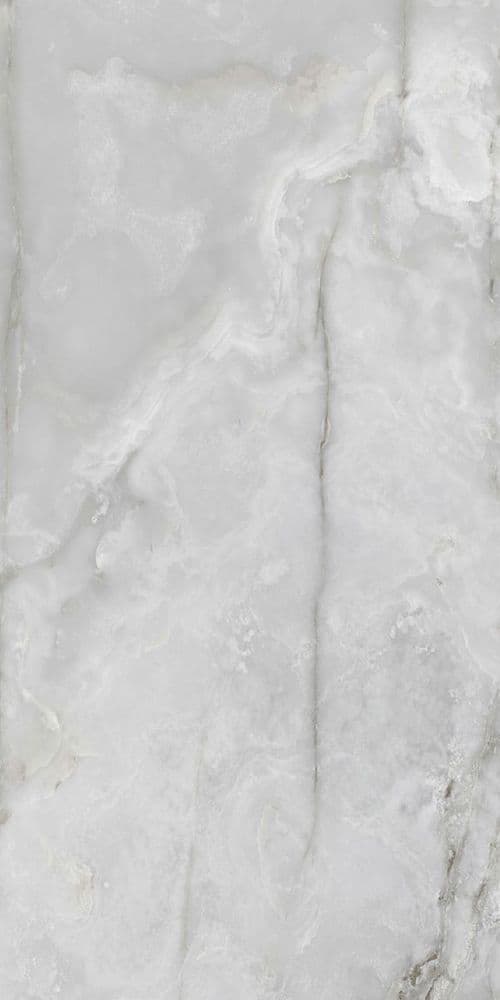 ONYX&MORE SILVER ONYX GLOS 60X120 RET