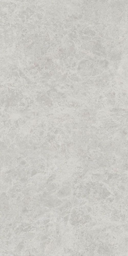 ERA DELIC. ASH NAT R60X120