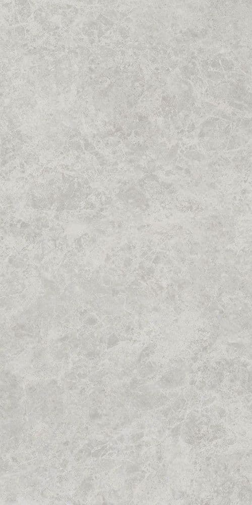 ERA DELIC. ASH NAT R60X120
