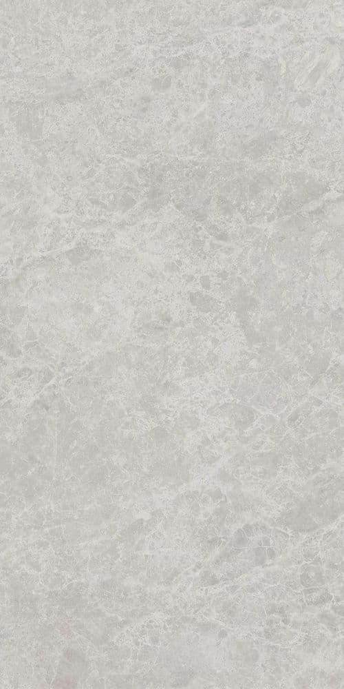 ERA DELIC. ASH NAT R60X120