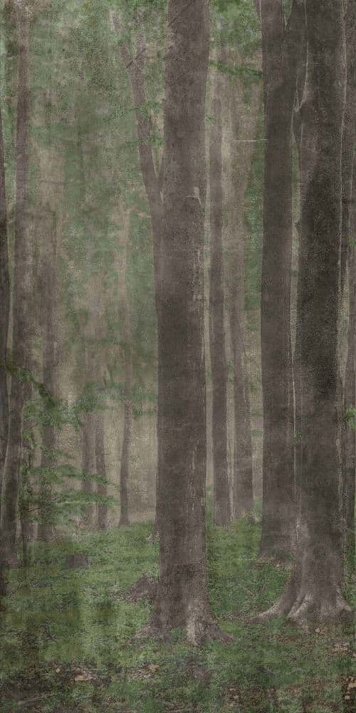 W&S D+ WOODS A 160X320