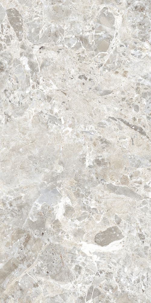 BRECCIA PARADISO SILVER TOUCH 60x120