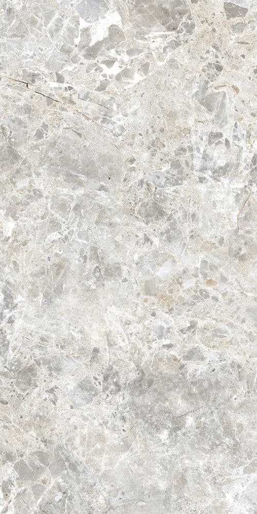 BRECCIA PARADISO SILVER TOUCH 60x120
