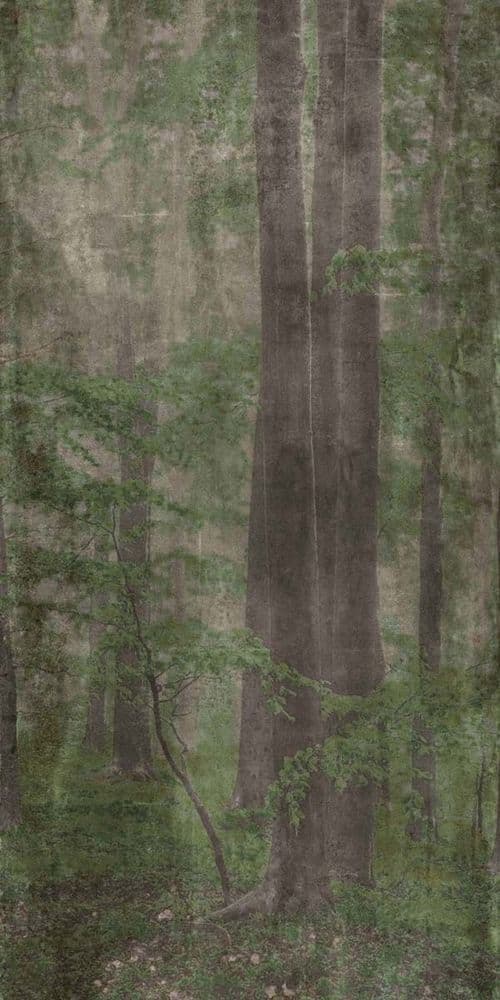 W&S D+ WOODS C 160X320