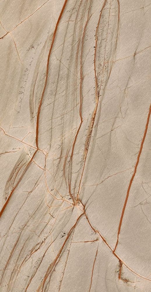 NATURE MOOD RAINFORE.GLOSS.9MM 60X120 RET