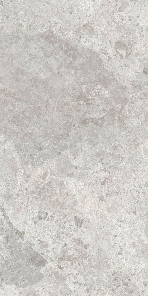 ERA BLOOM. ASH NAT R60X120