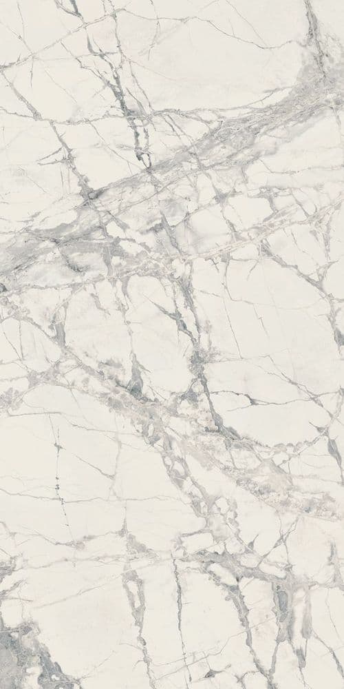 PREXIOUS REX MOUNTAIN TREASURE GLO 60X120R