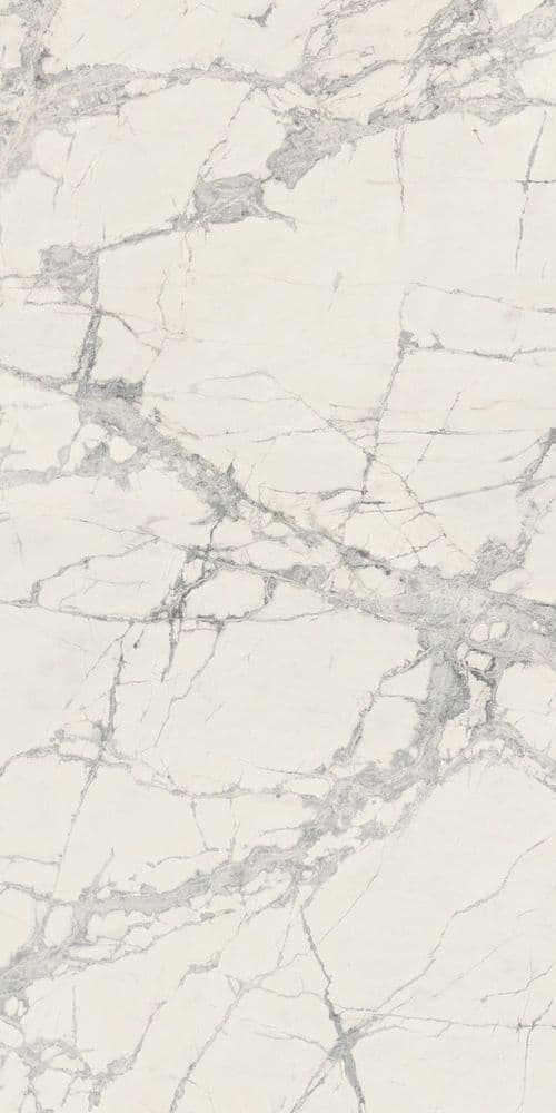 PREXIOUS REX MOUNTAIN TREASURE GLO 60X120R