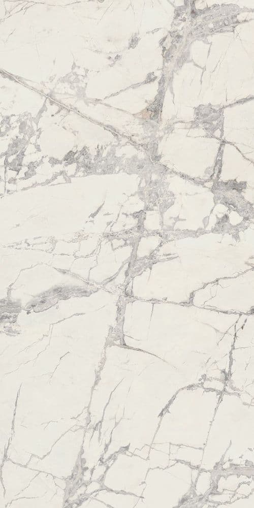 PREXIOUS REX MOUNTAIN TREASURE GLO 60X120R