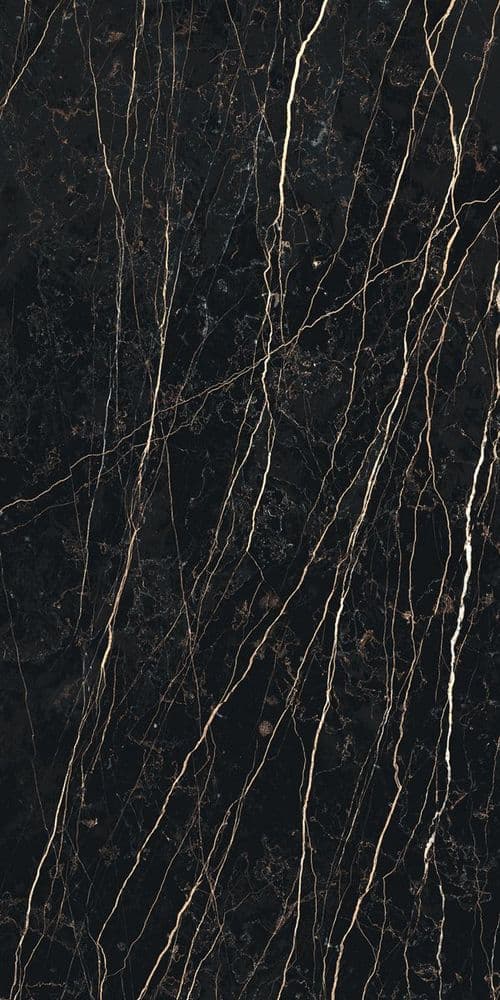 PREXIOUS REX THUNDER NIGHT GLO 60X120R