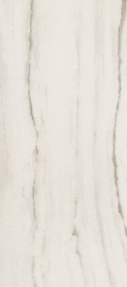 PREXIOUS REX WHITE FANTASY GLO 10MM 80X180 R