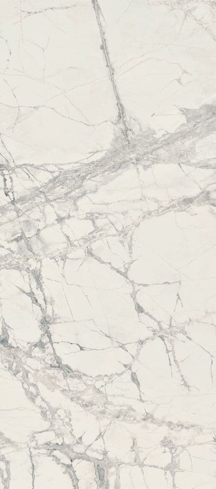 PREXIOUS REX MOUNTAIN TREASURE GLO 10MM 80X180