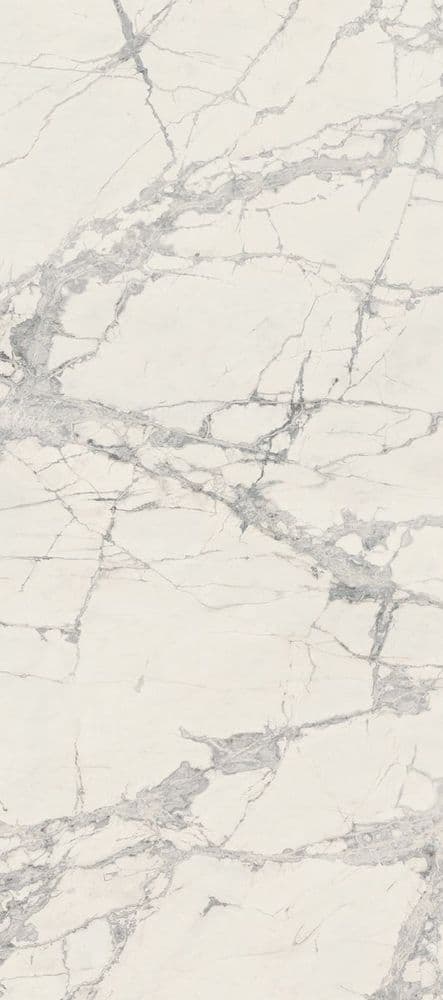 PREXIOUS REX MOUNTAIN TREASURE GLO 10MM 80X180