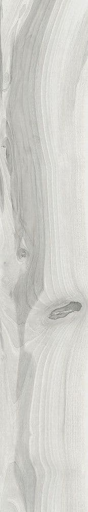 KAURI AWANUI NAT RETT 20X120
