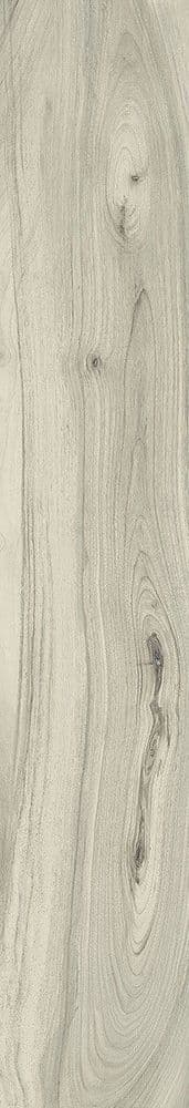 KAURI CATLINS LAP RETT 20x120