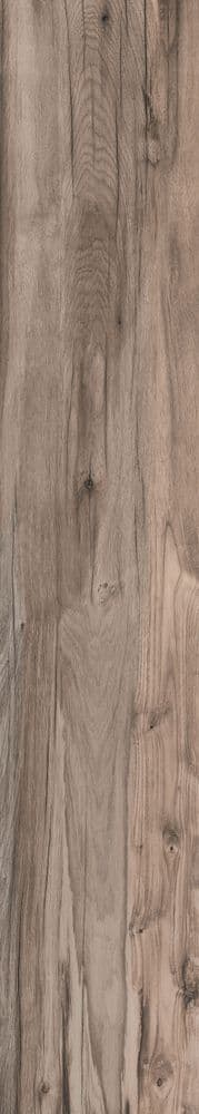 DOLPHIN OAK AGED RETT. 20X120