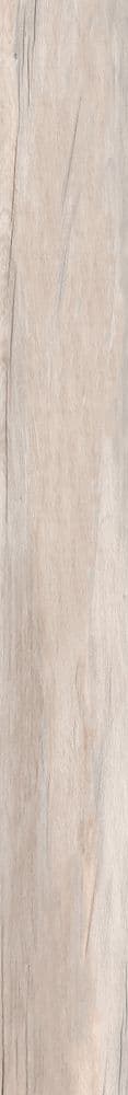 DOLPHIN MILK RETT. 20X170