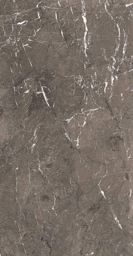 HERITAGE LUXE BROWN MATTE SILK 60X120 R