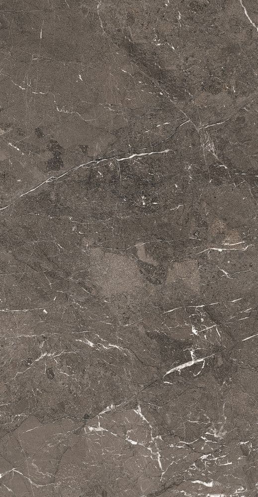 HERITAGE LUXE BROWN MATTE SILK 60X120 R