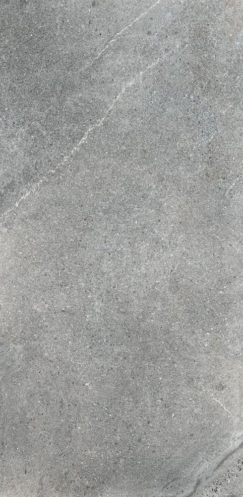 STONES 2.0 BURL GRAY MATTE RETT 60X120
