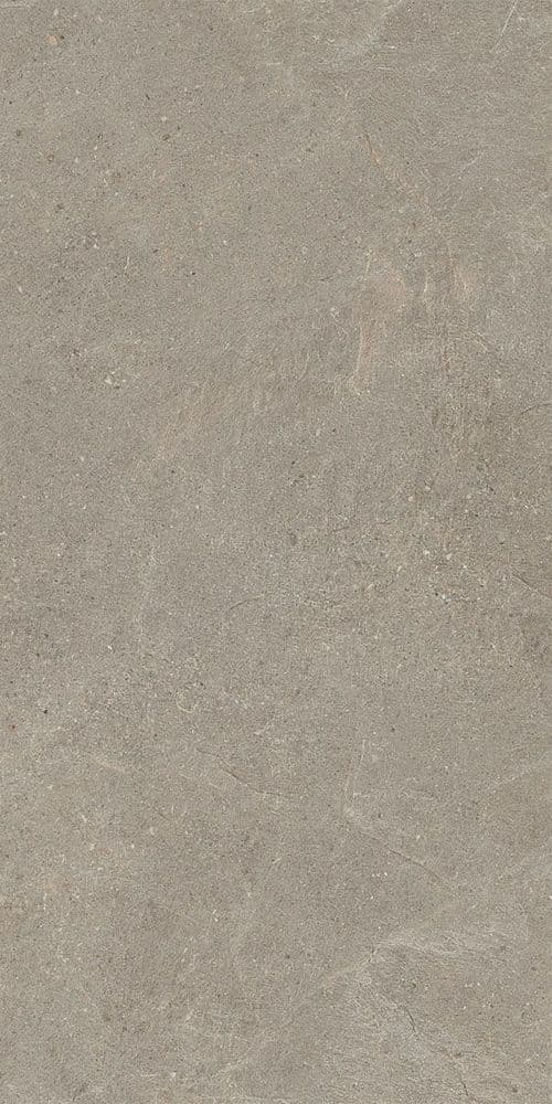 MOONSTONE TAUPE 60X120 8.5 MM